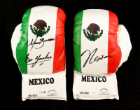 Julio Cesar Chavez, Marco Barrera & Erik Morales Signed Mexico Boxing Glove Set of (2) (JSA) at PristineAuction.com