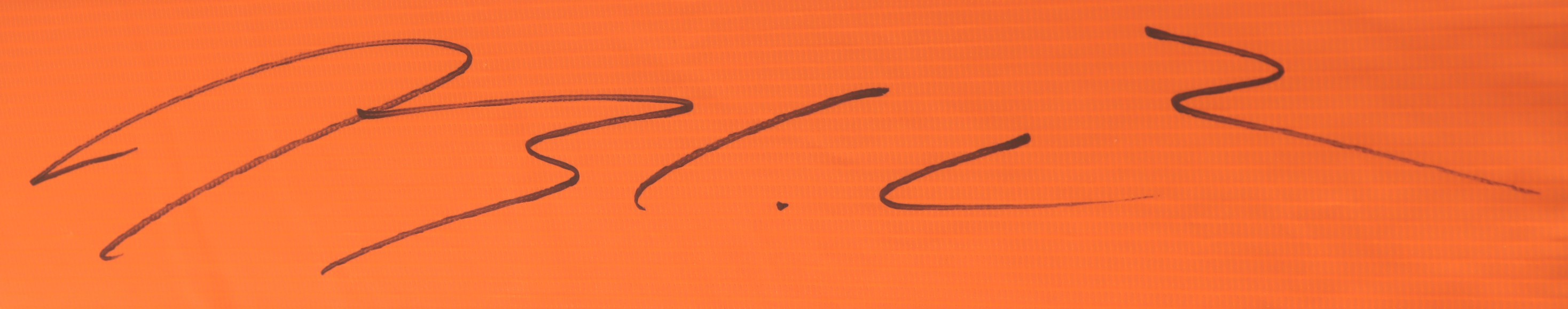 Blake Corum Signed Full-Size Football Pylon (Beckett) at PristineAuction.com Blake Corum Signed Full-Size Football Pylon (Beckett) at PristineAuction.com