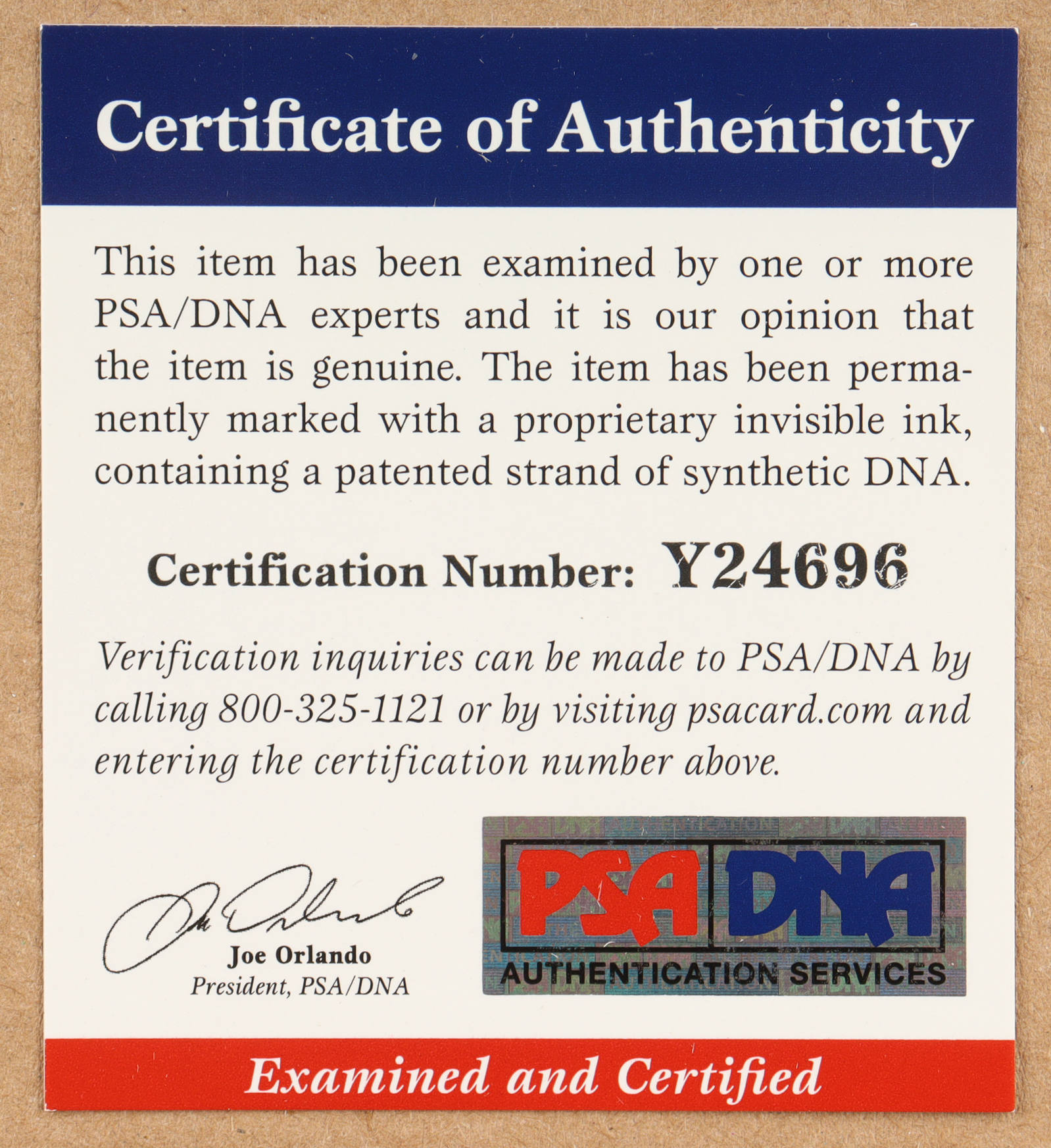 Tim Allen Signed "Home Improvement" Custom Framed Photo Display (PSA) at PristineAuction.com Tim Allen Signed "Home Improvement" Custom Framed Photo Display (PSA) at PristineAuction.com