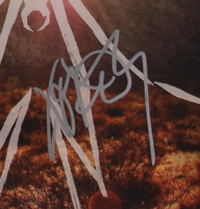 Frank Lero Signed "Danger Days: The True Lives of the Fabulous Killjoys" Vinyl Record Album (Beckett) at PristineAuction.com Frank Lero Signed "Danger Days: The True Lives of the Fabulous Killjoys" Vinyl Record Album (Beckett) at PristineAuction.com