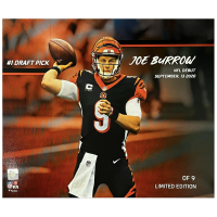 Joe Burrow LE Bengals "#1 Draft Pick Rookie Stat" 16x20 Photo at PristineAuction.com