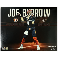 Joe Burrow LE Bengals "Stylized" 16x20 Photo at PristineAuction.com