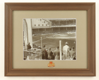 "Polo Grounds" Custom Framed Photo Display with Giants Logo Pin at PristineAuction.com