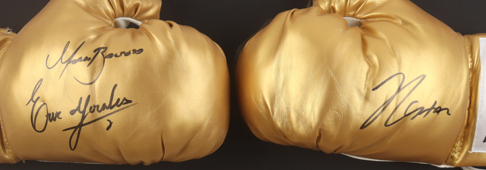 Julio Cesar Chavez, Marco Antonio Barrera & Erik Morales Signed "Kings Of Mexico Boxing" Custom Framed Everlast Golden Boxing Glove Set Display (JSA) at PristineAuction.com Julio Cesar Chavez, Marco Antonio Barrera & Erik Morales Signed "Kings Of Mexico Boxing" Custom Framed Everlast Golden Boxing Glove Set Display (JSA) at PristineAuction.com