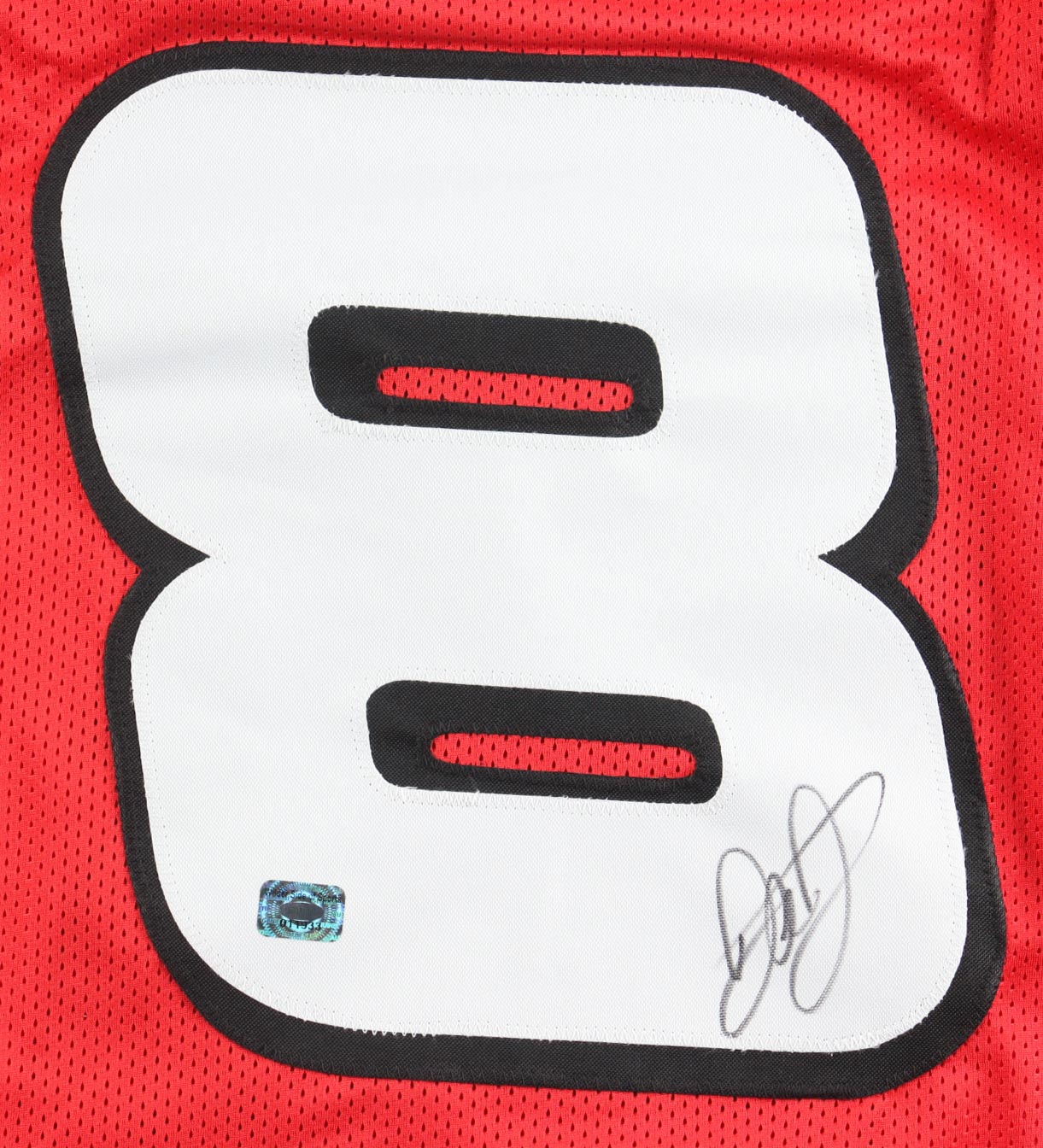 Dale Earnhardt Jr. Signed Jersey (Wilder Side of Sports) at PristineAuction.com Dale Earnhardt Jr. Signed Jersey (Wilder Side of Sports) at PristineAuction.com