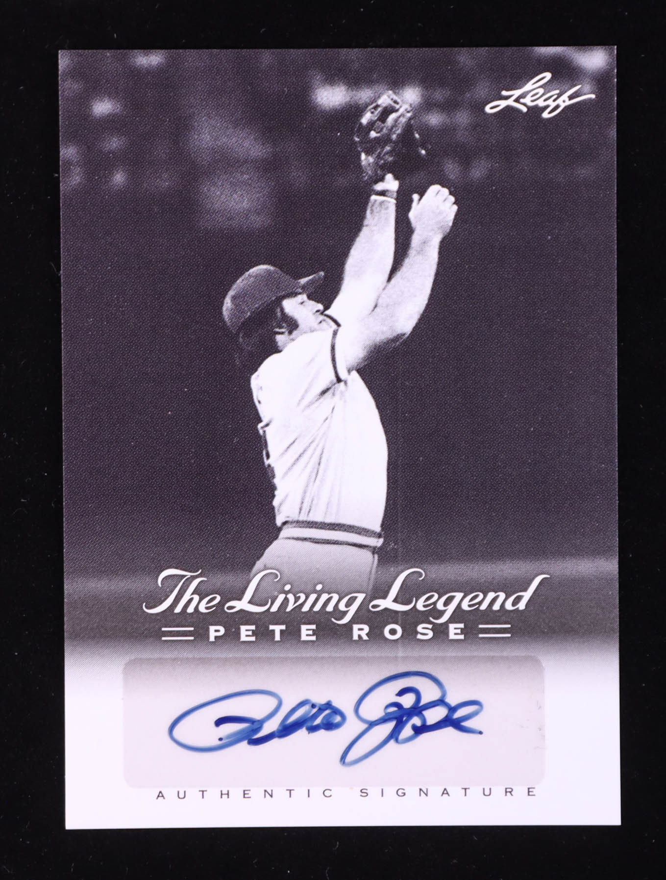 Pete Rose 2012 Leaf Pete Rose The Living Legend Autographs #AU15 at PristineAuction.com Pete Rose 2012 Leaf Pete Rose The Living Legend Autographs #AU15 at PristineAuction.com