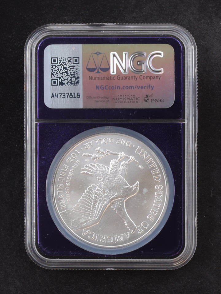 2025(P) American Silver Eagle, Eagle Privy - Limited Mintage of 500,000 (NGC MS69) at PristineAuction.com 2025(P) American Silver Eagle, Eagle Privy - Limited Mintage of 500,000 (NGC MS69) at PristineAuction.com
