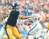 Terry Hanratty Signed Steelers 16x20 Photo (JSA) at PristineAuction.com