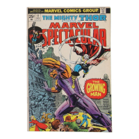 1974 "Marvel Spectacular" Issue #11 Marvel Comic Book at PristineAuction.com