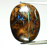 20.38 Carats Natural Opal Loose | Estimated Retail Value $2,200 (UGL) at PristineAuction.com