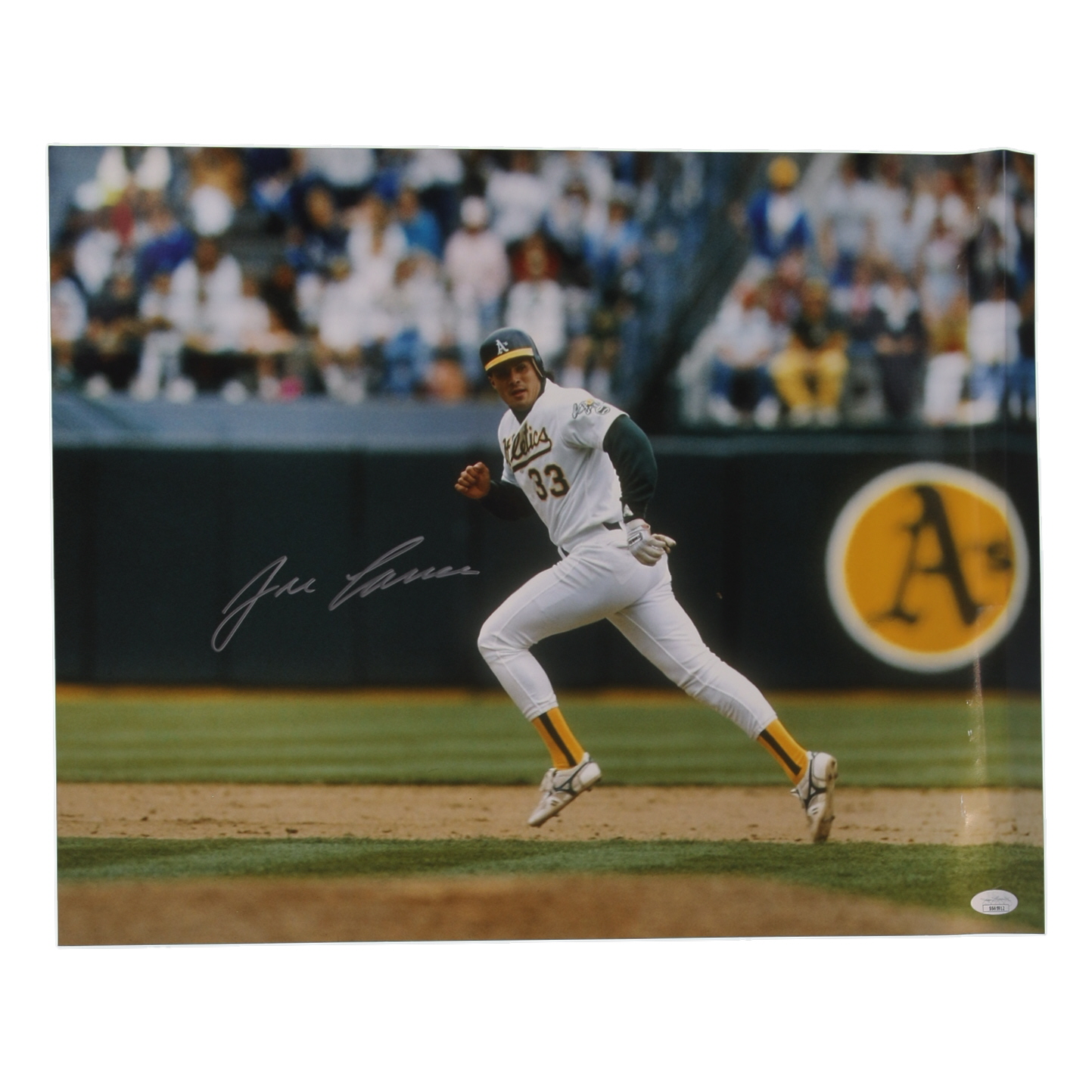Jose Canseco Signed Athletics 16x20 Photo (JSA) at PristineAuction.com Jose Canseco Signed Athletics 16x20 Photo (JSA) at PristineAuction.com