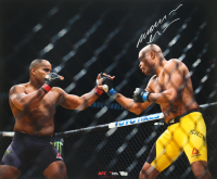 Anderson Silva Signed 20x24 Photo (Fanatics) at PristineAuction.com