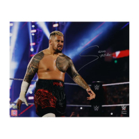 Solo Sikoa Signed WWE 16x20 Photo (Fanatics) at PristineAuction.com