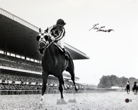 Ron Turcotte Signed "Secretariat" 16x20 Photo (Beckett) at PristineAuction.com
