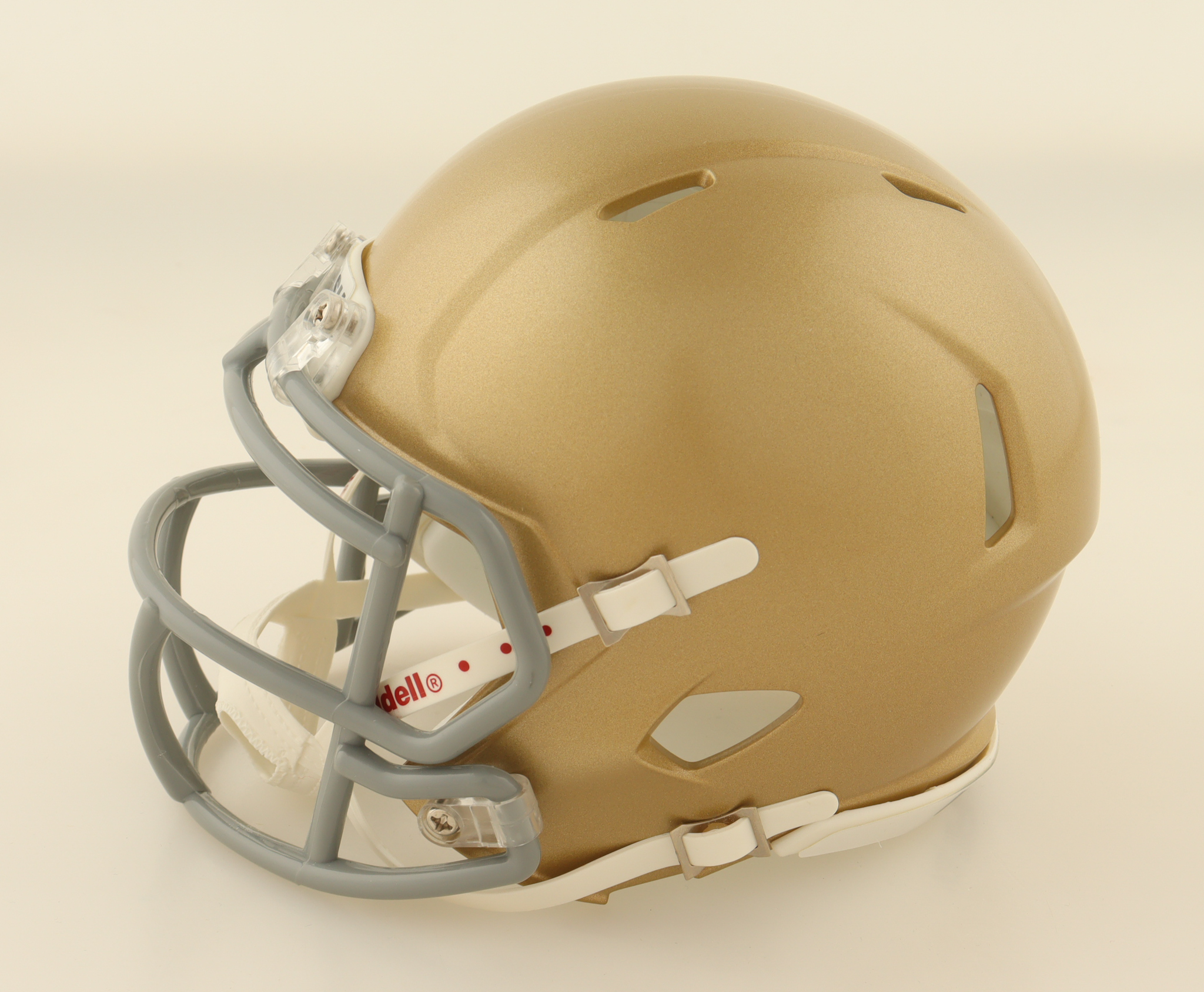 Rudy Ruettiger Signed Notre Dame Fighting Irish Speed Mini Helmet Inscribed "Never Quit" (Fanatics) at PristineAuction.com Rudy Ruettiger Signed Notre Dame Fighting Irish Speed Mini Helmet Inscribed "Never Quit" (Fanatics) at PristineAuction.com