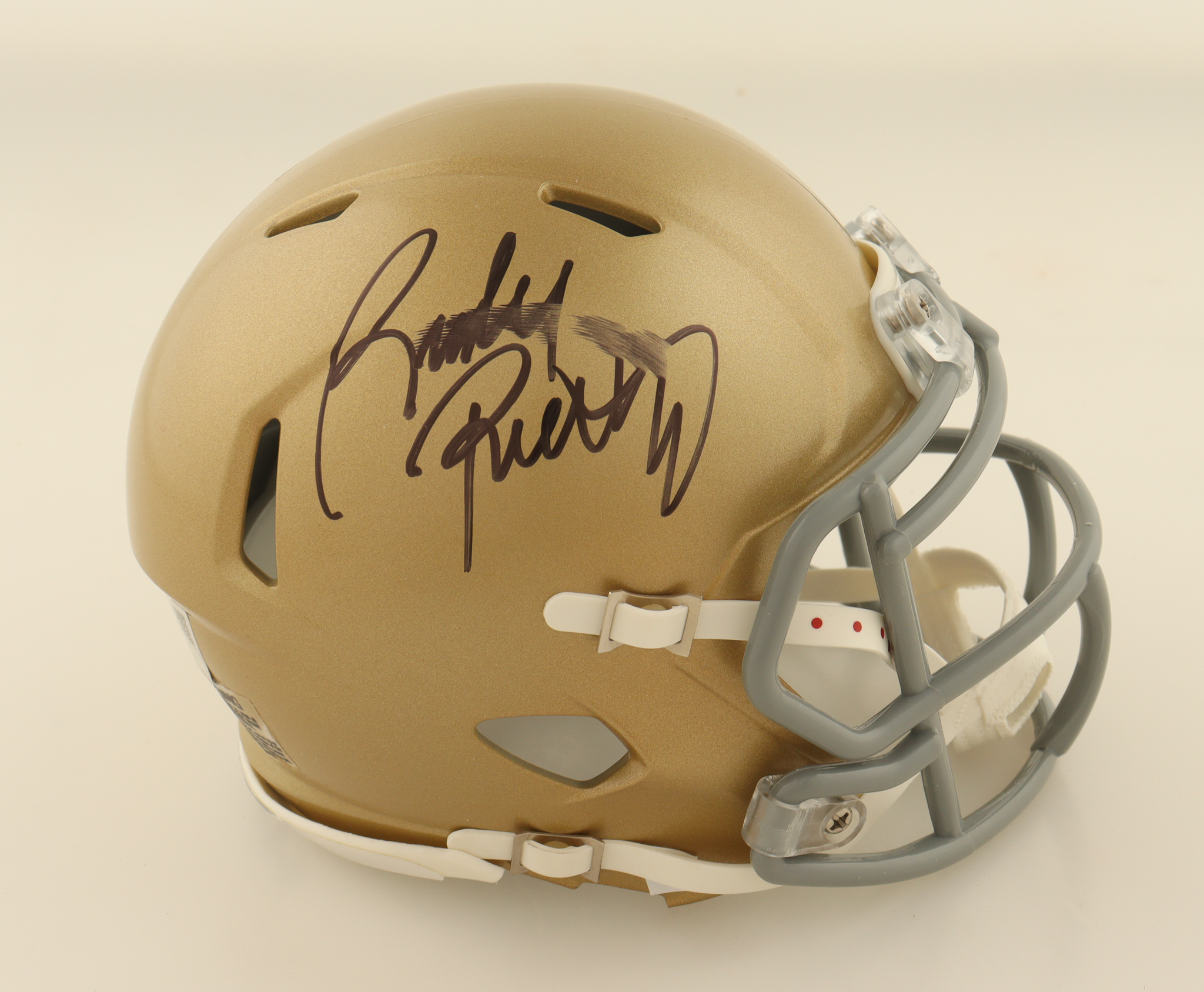 Rudy Ruettiger Signed Notre Dame Fighting Irish Speed Mini Helmet (Fanatics) at PristineAuction.com Rudy Ruettiger Signed Notre Dame Fighting Irish Speed Mini Helmet (Fanatics) at PristineAuction.com