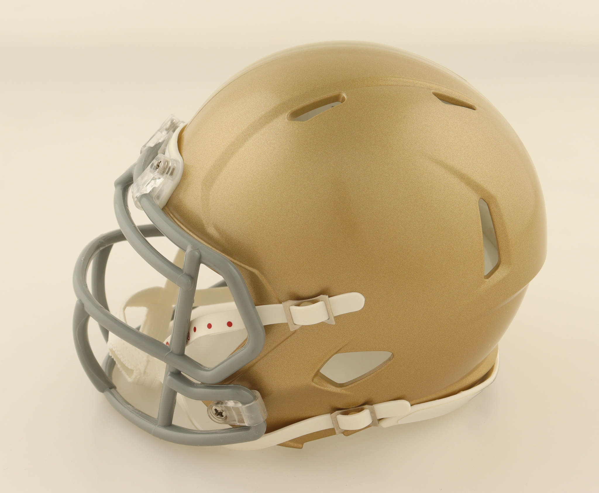 Rudy Ruettiger Signed Notre Dame Fighting Irish Speed Mini Helmet (Fanatics) at PristineAuction.com Rudy Ruettiger Signed Notre Dame Fighting Irish Speed Mini Helmet (Fanatics) at PristineAuction.com