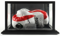 Mexican Boxing Kings | Set of (2) Cleto Reyes Boxing Gloves Signed By (3) With Julio Cesar Chavez, Marco Antonio Barrera, & Erik Morales in Display Case (JSA) at PristineAuction.com