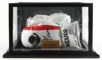 Mexican Boxing Kings | Set of (2) Cleto Reyes Boxing Gloves Signed By (3) With Julio Cesar Chavez, Marco Antonio Barrera, & Erik Morales in Display Case (JSA) at PristineAuction.com