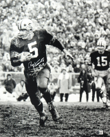 Paul Hornung Signed Packers 16x20 Photo (Beckett) at PristineAuction.com