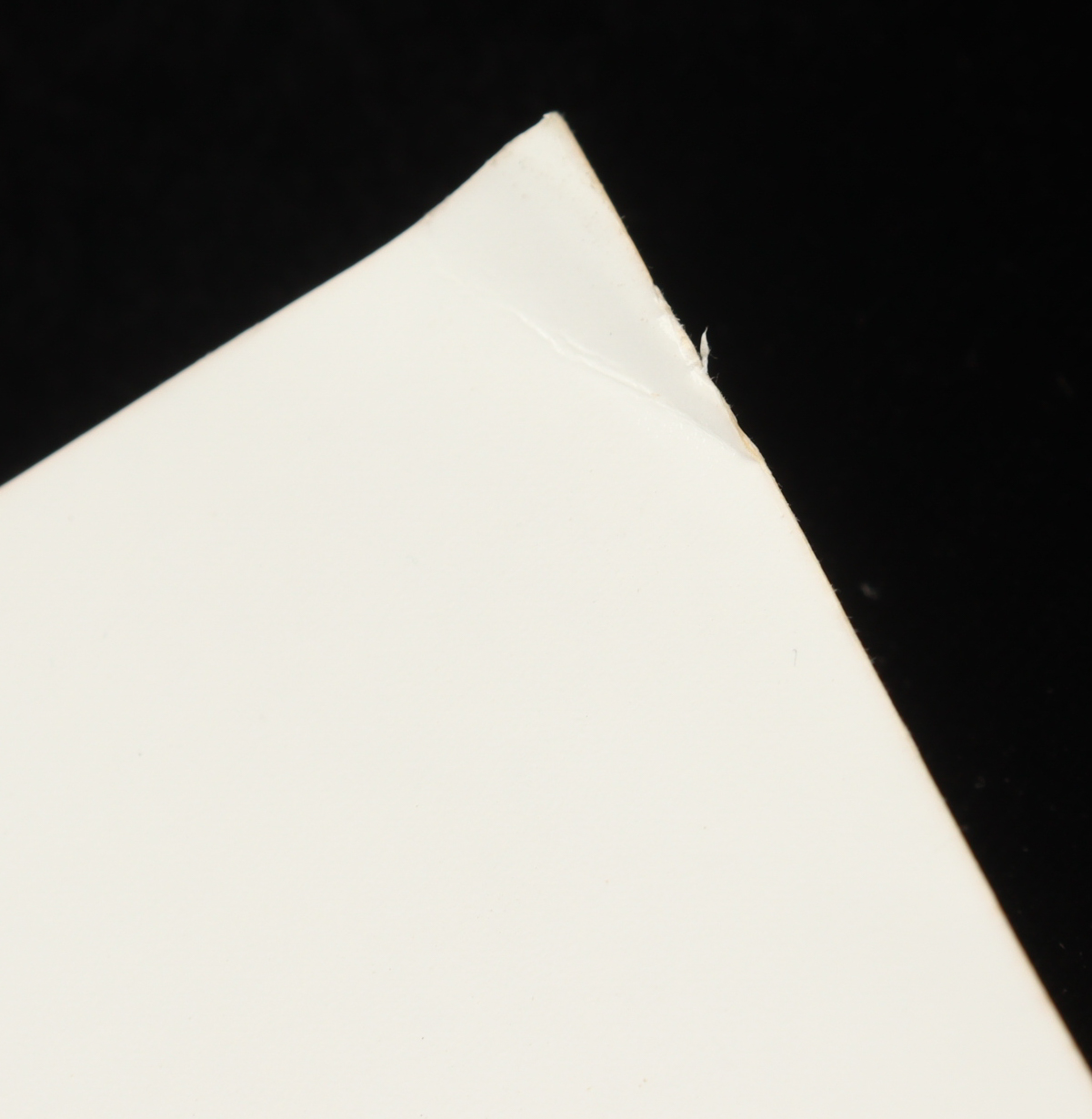 Braden Holtby Signed LE Capitals 10x30 Photo (Fanatics) at PristineAuction.com Braden Holtby Signed LE Capitals 10x30 Photo (Fanatics) at PristineAuction.com