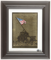 Hershel W. Williams Signed "So Proudly We Hail" Custom Framed Metallic Photo Display (Beckett) at PristineAuction.com