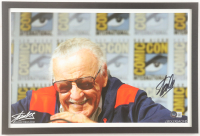 Stan Lee Signed Custom Framed Photo Display (Beckett) at PristineAuction.com