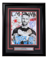 CM Punk Signed WWE Custom Framed Photo (JSA) at PristineAuction.com