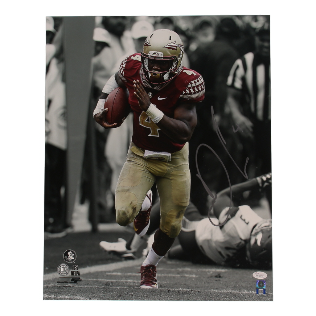 Dalvin Cook Signed FSU Seminoles 16x20 Photo (JSA) at PristineAuction.com Dalvin Cook Signed FSU Seminoles 16x20 Photo (JSA) at PristineAuction.com