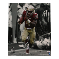 Dalvin Cook Signed FSU Seminoles 16x20 Photo (JSA) at PristineAuction.com