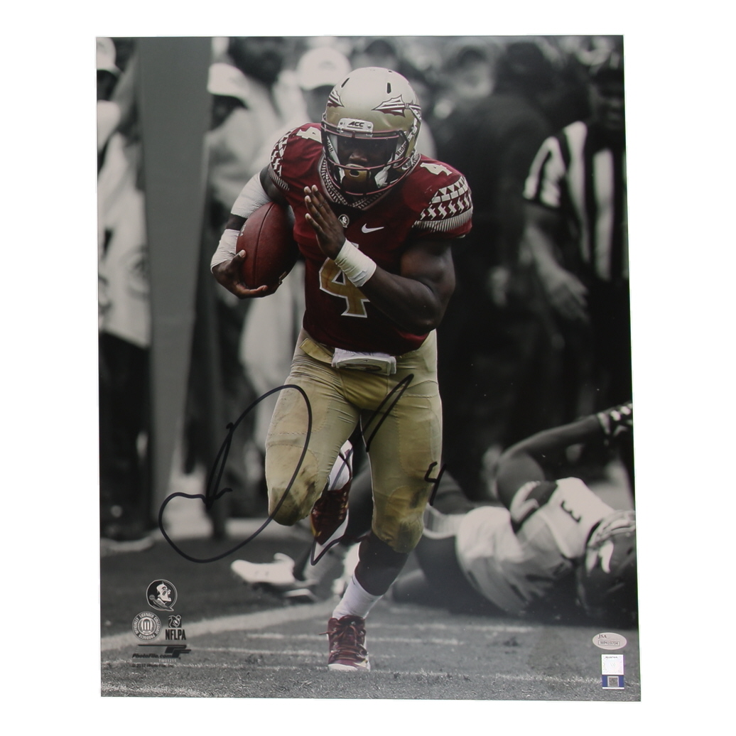 Dalvin Cook Signed FSU Seminoles 16x20 Photo (JSA) at PristineAuction.com Dalvin Cook Signed FSU Seminoles 16x20 Photo (JSA) at PristineAuction.com