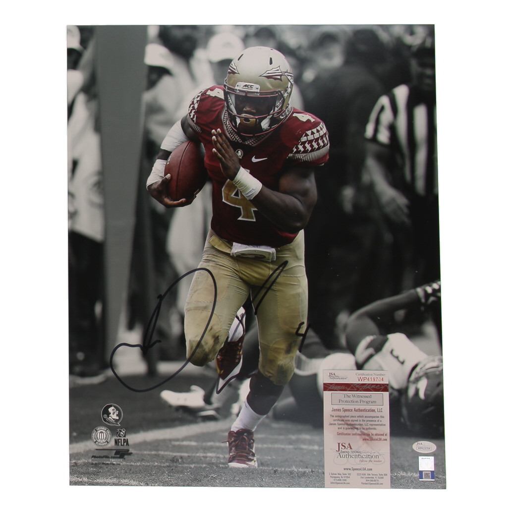 Dalvin Cook Signed FSU Seminoles 16x20 Photo (JSA) at PristineAuction.com Dalvin Cook Signed FSU Seminoles 16x20 Photo (JSA) at PristineAuction.com
