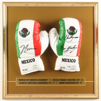 Julio Cesar Chavez, Marco Antonio Barrera & Erik Morales Signed Custom Framed Set of (2) Mexico Professional Boxing Gloves (JSA) at PristineAuction.com