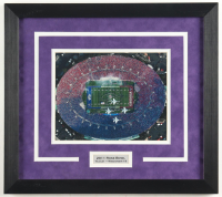 2010 Rose Bowl | Custom Framed Photo Display at PristineAuction.com
