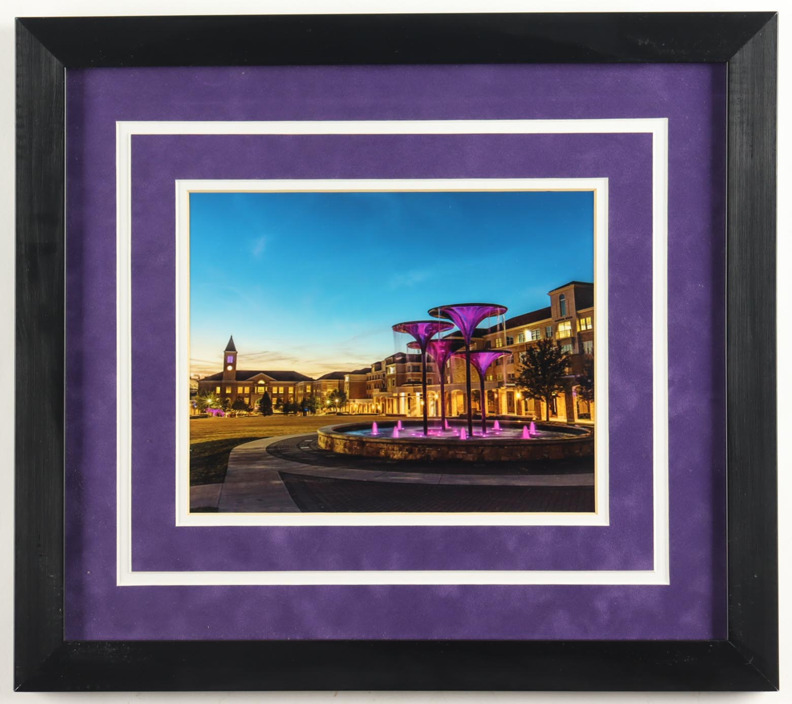 Texas Christian University "Frog Fountain" Custom Framed Photo at PristineAuction.com Texas Christian University "Frog Fountain" Custom Framed Photo at PristineAuction.com