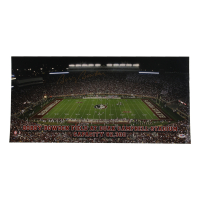 Bobby Bowden Signed Florida State Seminoles 12x25 Photo (PSA) at PristineAuction.com