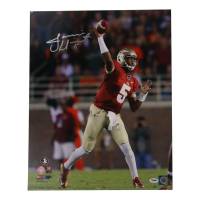 Jameis Winston Signed FSU Seminoles 16x20 Photo (PSA) at PristineAuction.com
