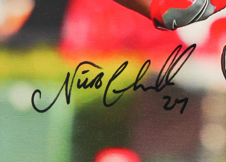 Nick Chubb Signed Georgia Bulldogs 20x24 Print on Canvas (JSA) at PristineAuction.com Nick Chubb Signed Georgia Bulldogs 20x24 Print on Canvas (JSA) at PristineAuction.com