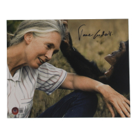 Jane Goodall Signed 8x10 Photo (Beckett) at PristineAuction.com