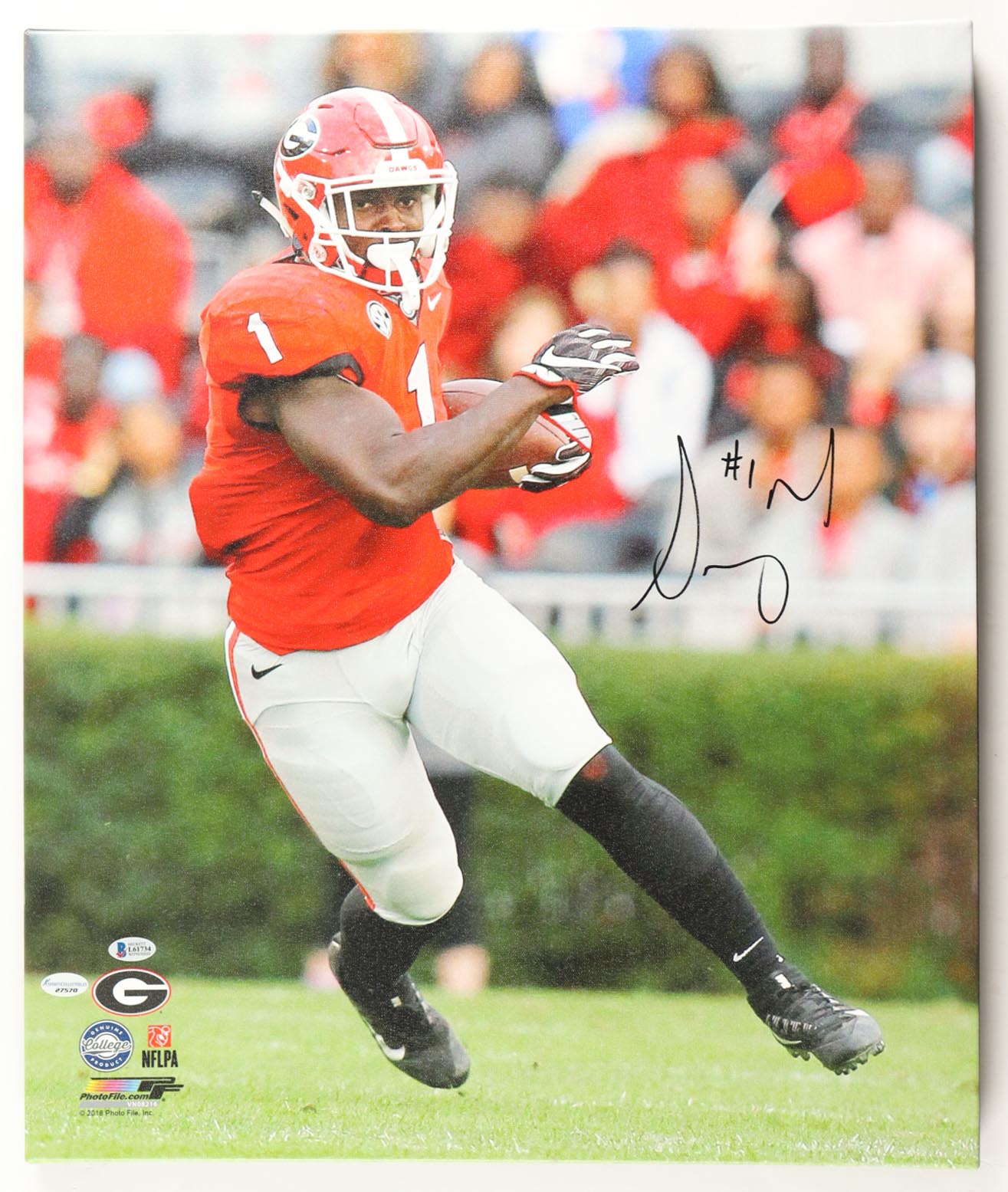 Sony Michel Signed Georgia Bulldogs 20x24 Print on Canvas (Beckett) at PristineAuction.com Sony Michel Signed Georgia Bulldogs 20x24 Print on Canvas (Beckett) at PristineAuction.com