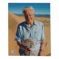David Attenborough Signed 8x10 Photo (JSA) at PristineAuction.com