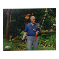 David Attenborough Signed 8x10 Photo (JSA) at PristineAuction.com