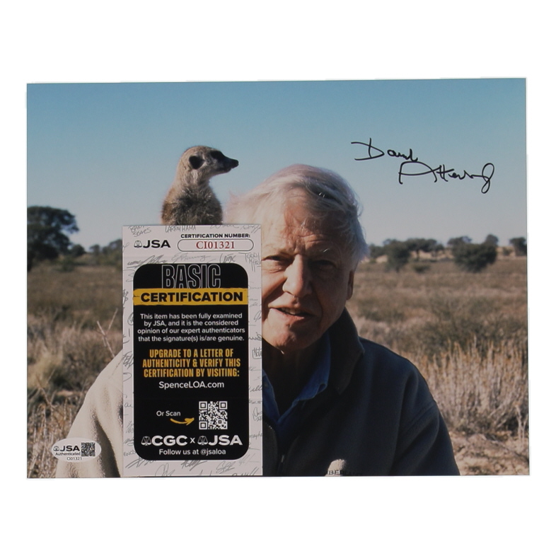 David Attenborough Signed 8x10 Photo (JSA) at PristineAuction.com David Attenborough Signed 8x10 Photo (JSA) at PristineAuction.com