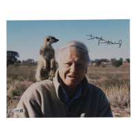 David Attenborough Signed 8x10 Photo (JSA) at PristineAuction.com