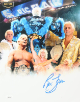 Ric Flair Signed 11x14 Photo (JSA) at PristineAuction.com