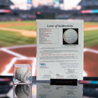 Derek Jeter, Mariano Rivera, Mike Mussina | 2008 Yankees OML Baseball Team-Signed By (23) (JSA) at PristineAuction.com