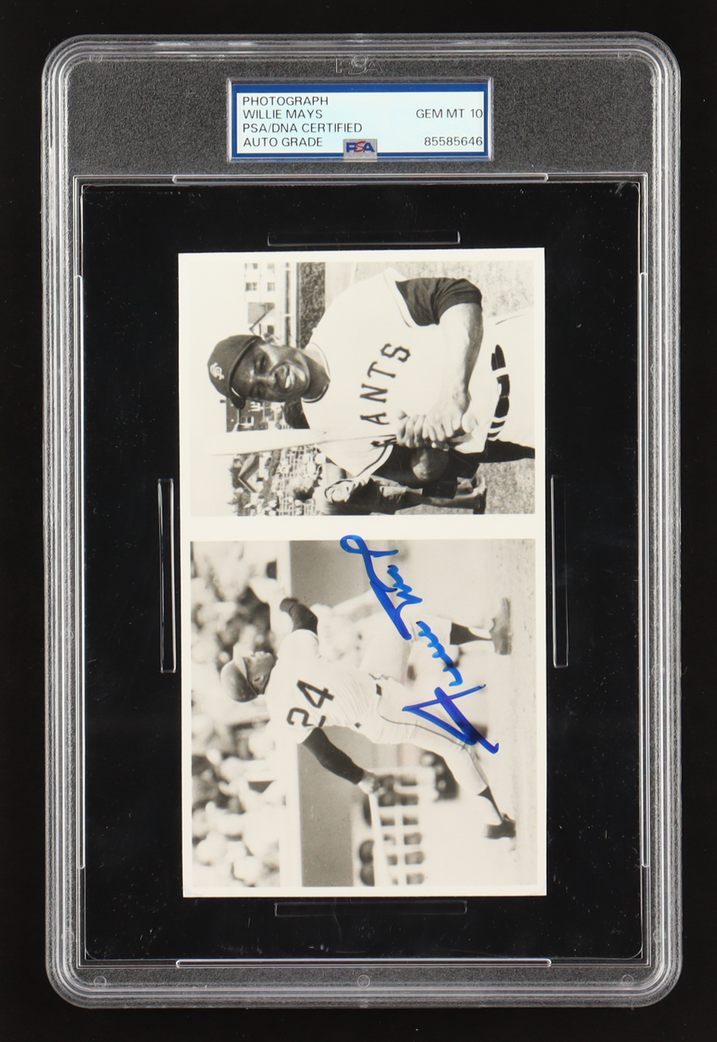 Willie Mays Signed 4x6.5 Giants Photo (PSA | Auto Grade PSA 10) at PristineAuction.com Willie Mays Signed 4x6.5 Giants Photo (PSA | Auto Grade PSA 10) at PristineAuction.com