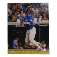 David Ross Signed Cubs 16x20 Photo (Schwartz) at PristineAuction.com