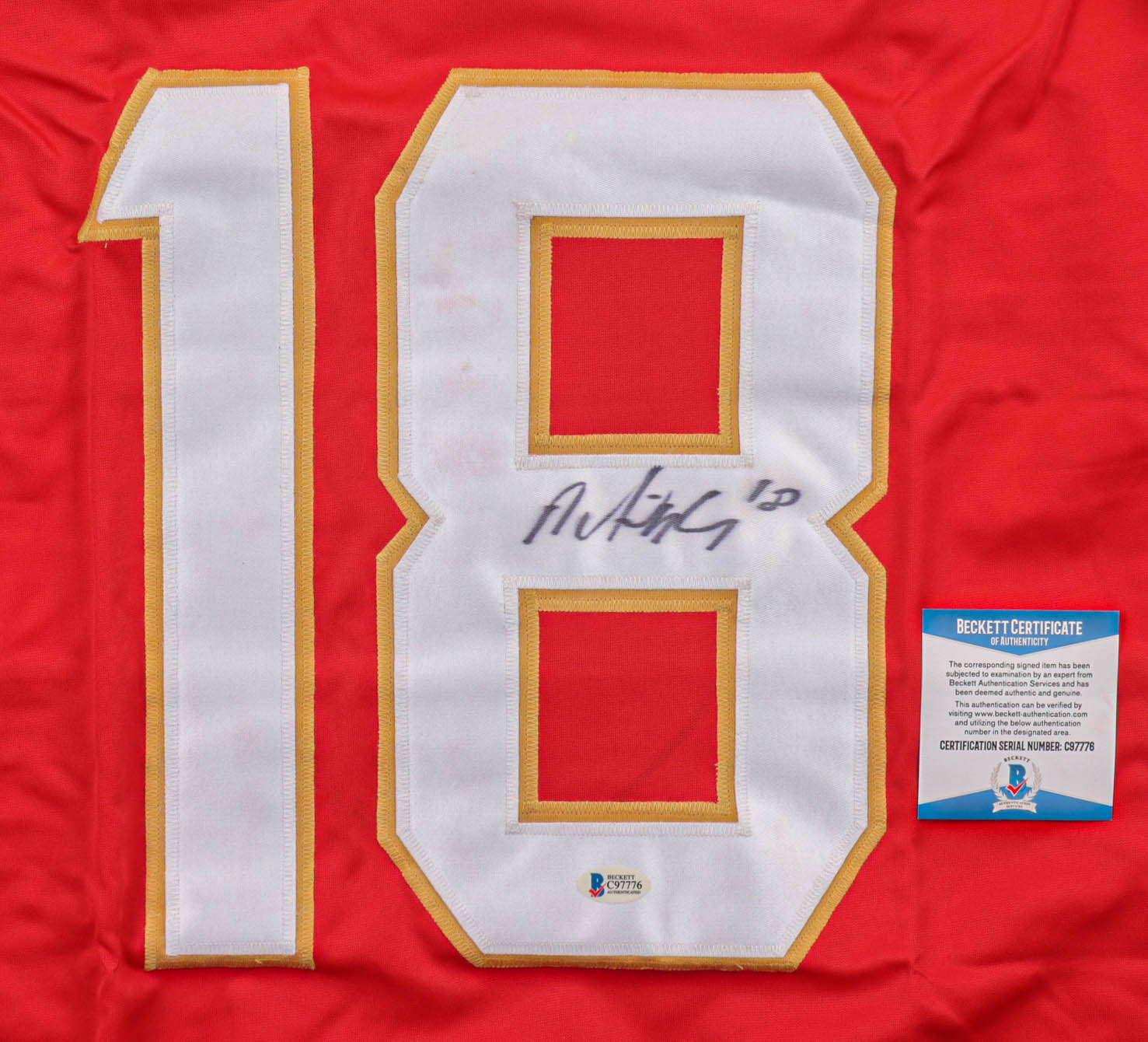 Micheal Haley Signed Jersey (Beckett) at PristineAuction.com Micheal Haley Signed Jersey (Beckett) at PristineAuction.com