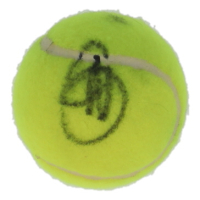 Novak Djokovic Signed Tennis Ball (PSA) at PristineAuction.com